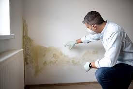 Mold Remediation for Rental Properties in Manawa, WI